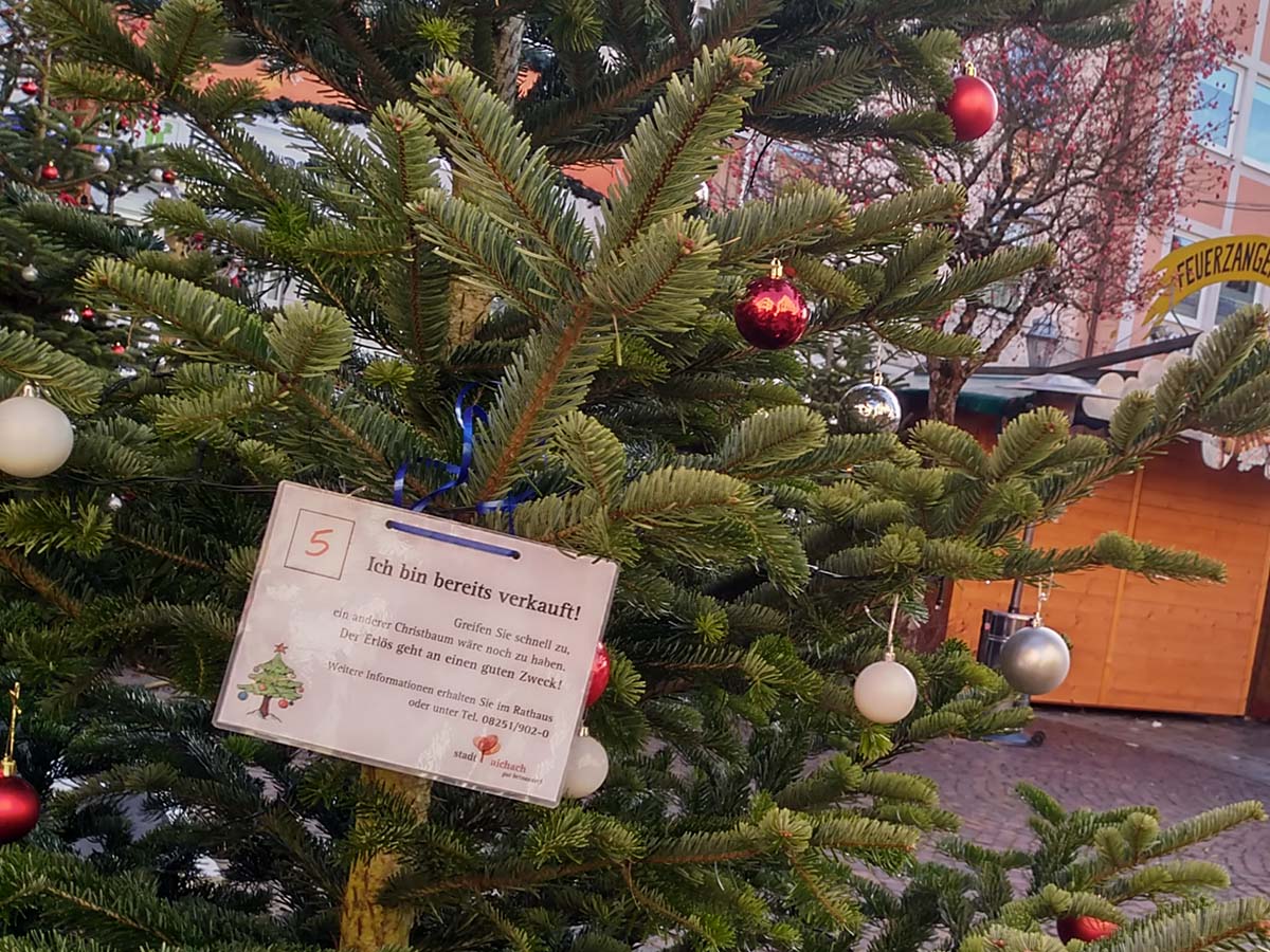 Weihnachtsbaum vom Aichacher Weihnachtsmarkt